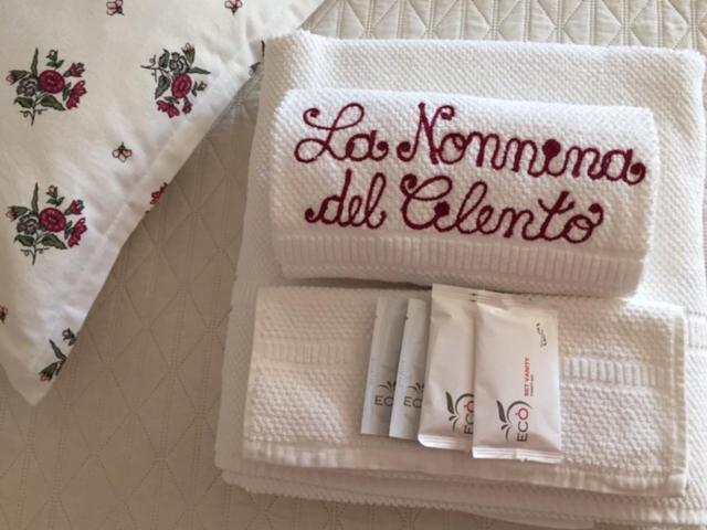 كاسال فيلينو B&B La Nonnina Del Cilento المظهر الخارجي الصورة