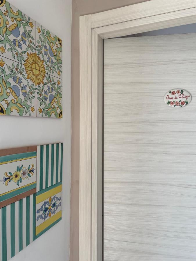 كاسال فيلينو B&B La Nonnina Del Cilento المظهر الخارجي الصورة