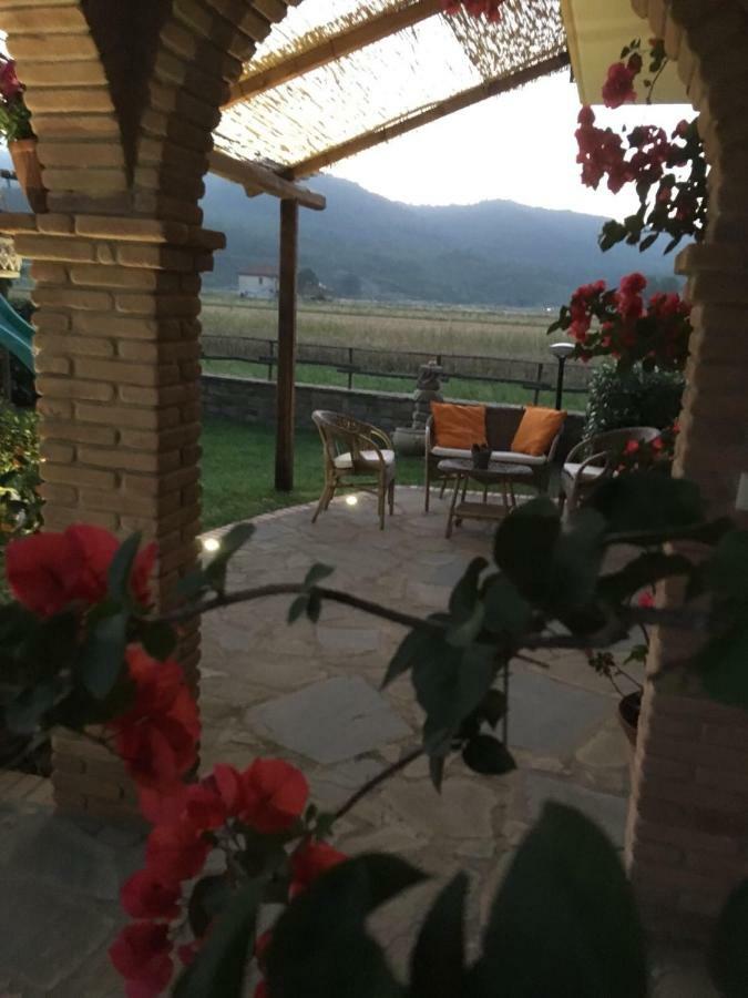 كاسال فيلينو B&B La Nonnina Del Cilento المظهر الخارجي الصورة