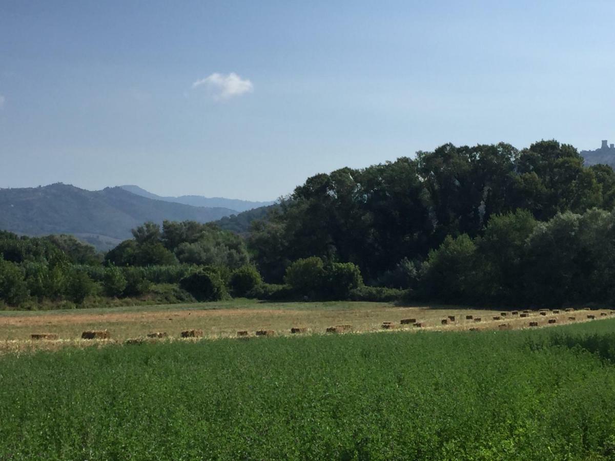 كاسال فيلينو B&B La Nonnina Del Cilento المظهر الخارجي الصورة