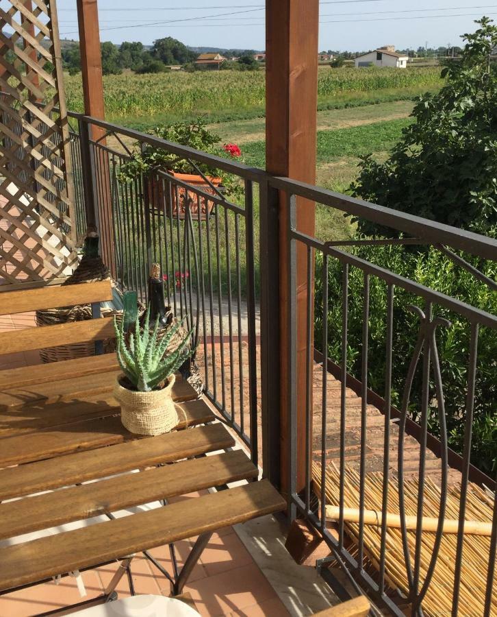 كاسال فيلينو B&B La Nonnina Del Cilento المظهر الخارجي الصورة