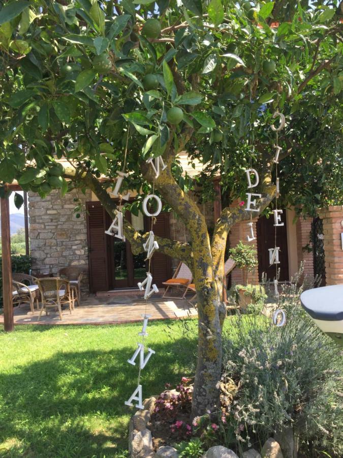 كاسال فيلينو B&B La Nonnina Del Cilento المظهر الخارجي الصورة