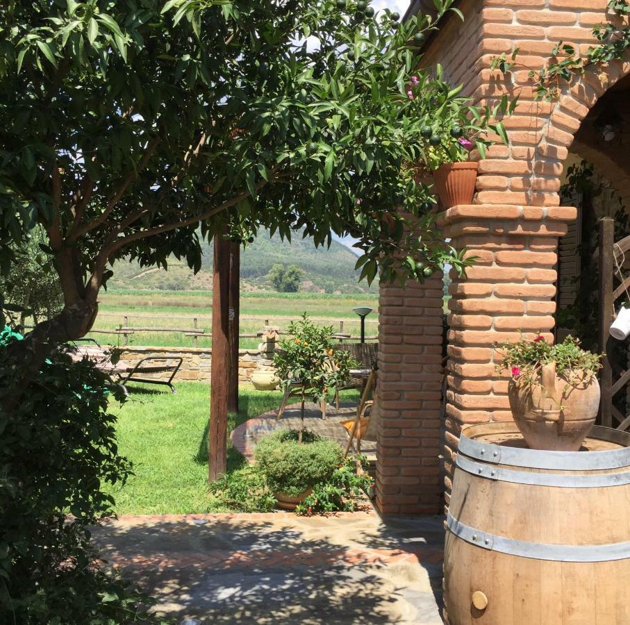كاسال فيلينو B&B La Nonnina Del Cilento المظهر الخارجي الصورة
